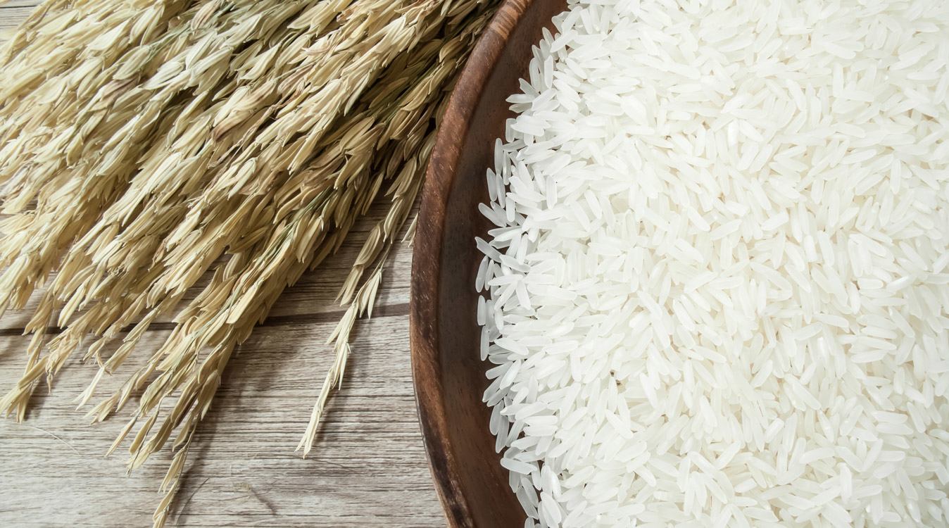 punjab-rice-mills-03